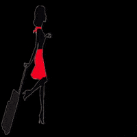 TheTravelExpert tte time to fly the travel expert thetravelexpert GIF