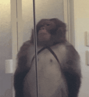 Will Do You Got It GIF