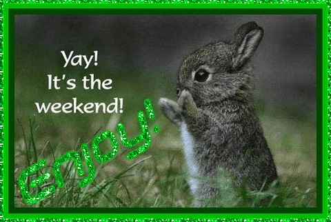 the weekend images GIF
