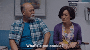 Cookie Monster Weed GIF by Kim's Convenience