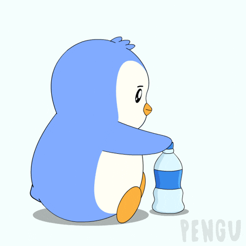 Fun Water GIF by Pudgy Penguins
