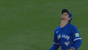 Blue Jays Baseball GIF by Toronto Blue Jays