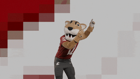 Washington State Go Cougs GIF by WSU Pullman