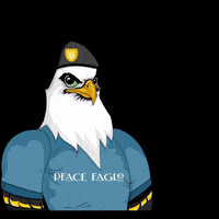 PeaceEagleNFT party thank you lfg lets do this GIF