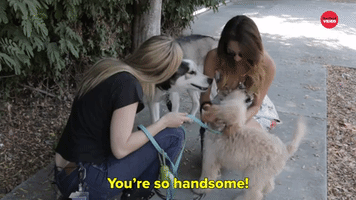 You're So Handsome