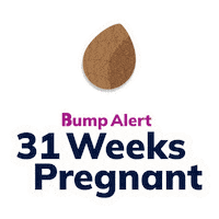 Pregnancy Expecting Sticker by The Bump