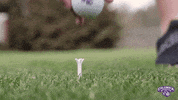 Golf Koalas GIF by Columbia College
