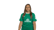 Swipe Up Sticker by SV Werder Bremen