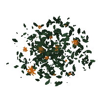 Flower 花 Sticker