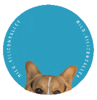 Corgi Milo Sticker