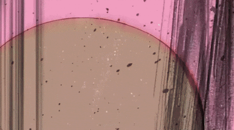TheSashaExpress  GIF