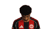 Eintracht Frankfurt Sticker by Bundesliga