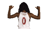 ElonPhoenixAthletics elon phoenix elonphoenix elon basketball elonbasketball Sticker
