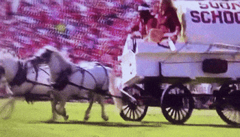 crash oklahoma ou sooners wagon GIF