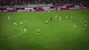Bonucci GIF by nss sports