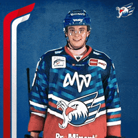 Loibl GIF by Adler Mannheim