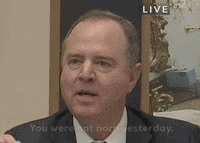 Adam Schiff GIF by GIPHY News