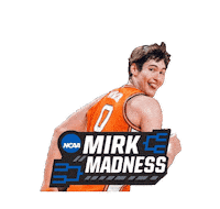 Fighting Illini Illinois Sticker