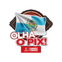 Sticker by Vamos Seminovos