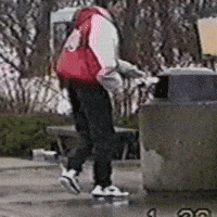 cat lol GIF by America's Funniest Home Videos