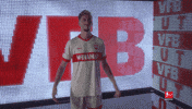 Vfb Stuttgart Football GIF by Bundesliga