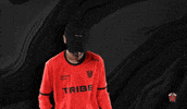 Lets Go Applause GIF by Tribe Gaming
