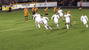 Celtic Fc Hearts GIF by SPFL