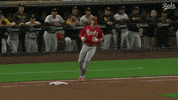 Baseball Mlb GIF by Cincinnati Reds