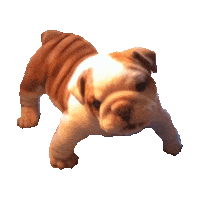 dog puppy Sticker
