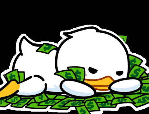 Crypto Cardano GIF by QUACKU