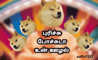 akash0322 auffx0322 GIF
