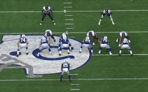 zachhicks giphygifmaker GIF