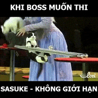 GIF by Lozi Singapore Co.