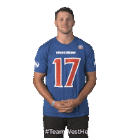 Buffalo Bills Sticker by West Herr