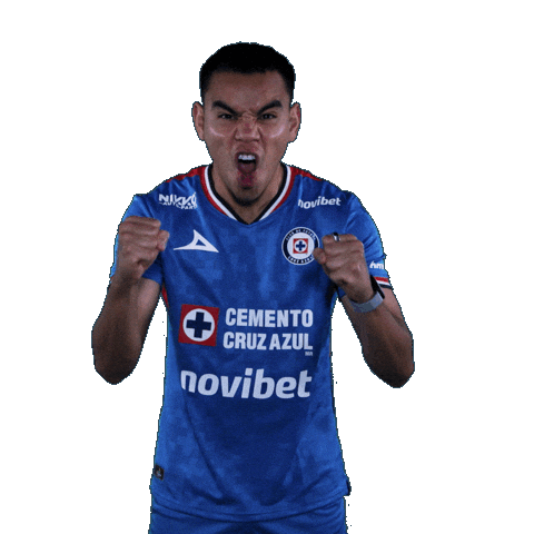 Liga Mx Carlos Sticker by Club de Futbol Cruz Azul