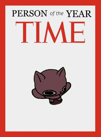 Person Of The Year Cat GIF