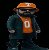 Tennessee Volunteers David GIF
