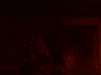 Neon Rated GIF by NEON