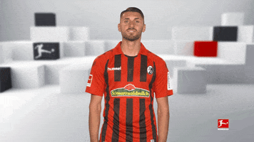 Sc Freiburg Football GIF by Bundesliga