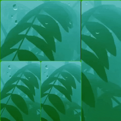 animation art GIF by The Videobook