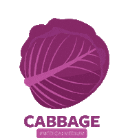 Red Cabbage Vegetable Sticker by Medical Medium