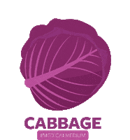 Red Cabbage Vegetable Sticker by Medical Medium