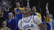 Womens Basketball Sport GIF by NCAA March Madness