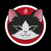 Cat Laughing GIF