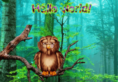 Owls Expressions GIF