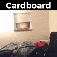 Cardboard Rage GIF