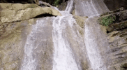 mexico great gardens las pozas GIF by NOWNESS