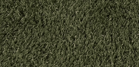 Womens Lacrosse GIF by Lafayette Leopards
