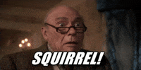 Christmas Vacation GIF