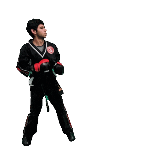 Karate Taekwondo Sticker by Team GMA